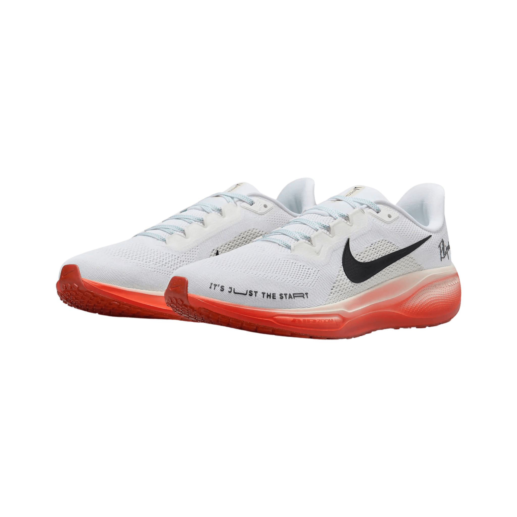 NIKE MEN'S PEGASUS 41 ELIUD KIPCHOGE