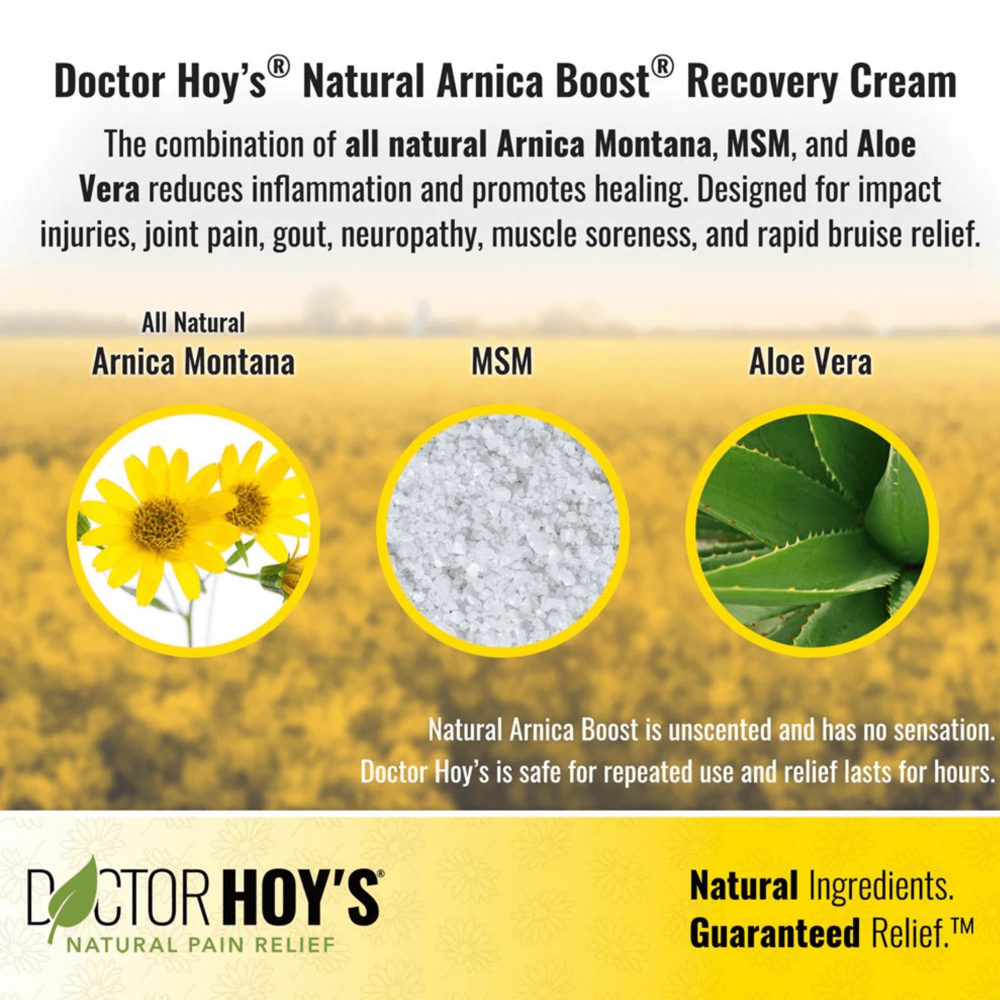 DOCTOR HOYS ARNICA BOOST 6 OZ