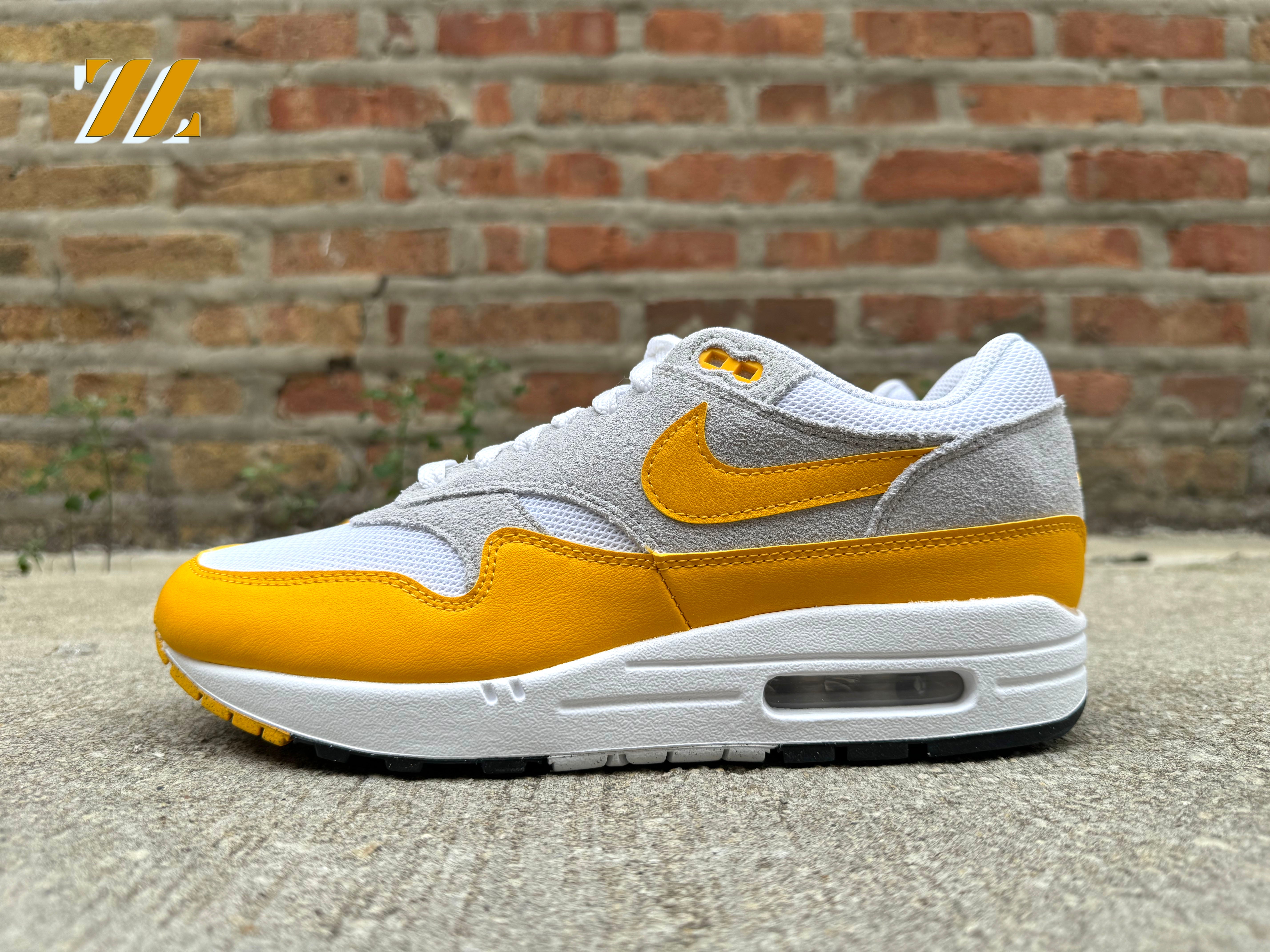 Men's Nike Air Max 1 ESS